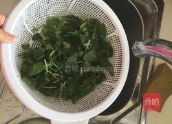 凉拌折耳根(鱼腥草)的做法图解2