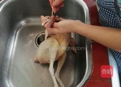 白斩芦花鸡的做法图解3