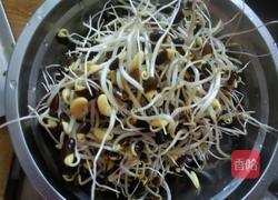 胡萝卜豆芽炒肉沫的做法图解3