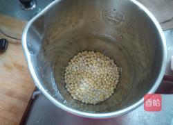 豆纤醇浆的做法图解5