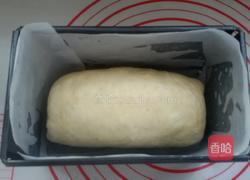 双色吐司面包的做法图解13