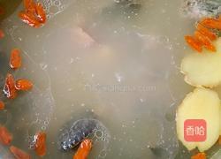 板栗乌鸡汤的做法图解8