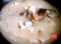 鲫鱼豆腐奶汤的做法图解8