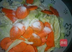 快手泡菜的做法图解3