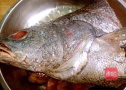 鮸鱼头炖豆腐的做法图解1