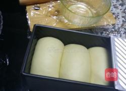 美式奶香土司的做法图解9
