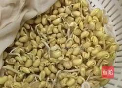 干煸黄豆芽(自发豆芽)的做法图解3