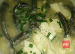 跳跳鱼烧豆腐的做法图解10