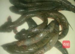 跳跳鱼烧豆腐的做法图解2