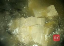 跳跳鱼烧豆腐的做法图解8