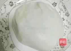 糖麻圆的做法图解1