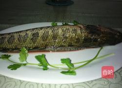 酸汤乌鱼的做法图解1