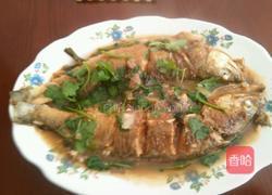 啤酒鲈子鱼的做法图解6