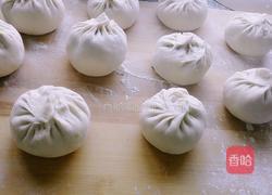 西葫芦素馅包子的做法图解13