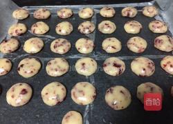 蔓越莓纽扣酥的做法图解7