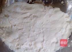 血腥汤圆的做法图解4