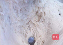 蝴蝶馒头的做法图解3