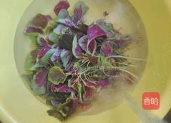 凉拌苋菜的做法图解1