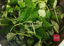 蒜香红薯叶的做法图解1