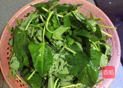 蒜香红薯叶的做法图解2