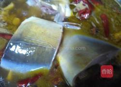 大锅炖鱼的做法图解6