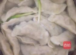 娃娃香菇肉末饺的做法图解14