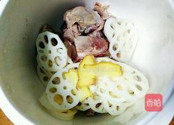 莲藕炖猪尾骨的做法图解4