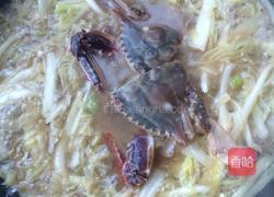 螃蟹炖白菜的做法图解3