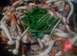 蚝油双菇肉片的做法图解7