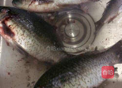 酱焖鲫鱼的做法图解1