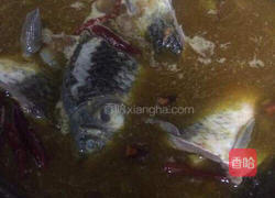 酱焖鲫鱼的做法图解6