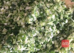 猪肉大葱饺子的做法图解2