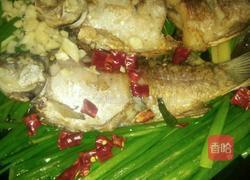 野生河鲫鱼红烧的做法图解5