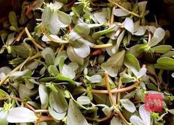 马齿苋馍馍的做法图解1