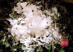 马齿苋馍馍的做法图解7