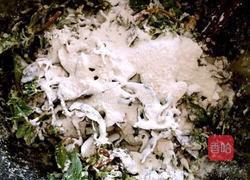 马齿苋馍馍的做法图解10