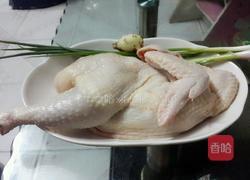 沙姜豉油鸡的做法图解1