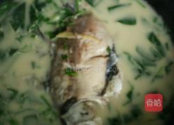 宝宝营养辅食（菠菜鲫鱼汤）的做法图解7