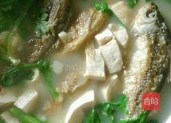 鲫鱼豆腐汤的做法图解3