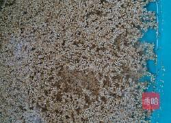 芝麻盐的做法图解1