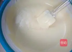 Red Date Yogurt Cake Recipe Illustration 14