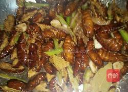 干煸茧蛹的做法图解5