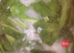 高汤菠菜粥的做法图解8