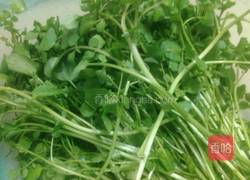 西洋菜滚鲫鱼汤的做法图解2