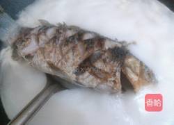 西洋菜滚鲫鱼汤的做法图解5