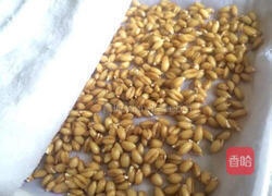 小麦草水培的做法图解6