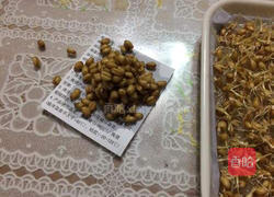 小麦草水培的做法图解8