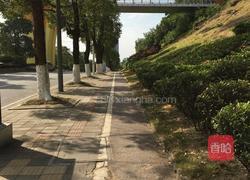 猪骨莲藕胡萝卜汤的做法图解5