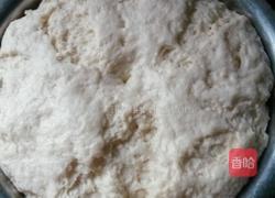 酒酿肉松香肠包的做法图解3