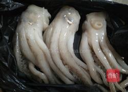 油冲菊花鱿鱼的做法图解1